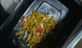 爆料各种美食视频,短视频带你领略人间烟火味