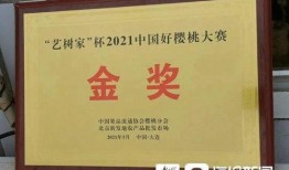 中国球员媳妇爆料视频播放