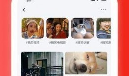 爆料公社短视频违法吗怎么举报,举报途径全解析