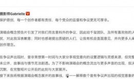 抄袭怎么爆料的视频呢