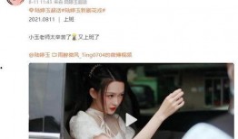 站姐爆料娱乐圈,揭秘明星幕后故事与真实生活