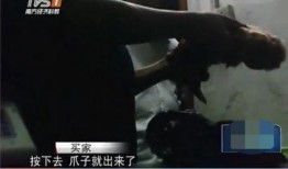 屠宰最新爆料视频下载,揭秘屠宰场惊人内幕，视频曝光行业黑幕